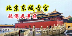怼浪逼av中国北京-东城古宫旅游风景区